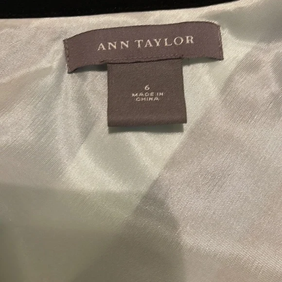 Ann Taylor Silk Skirt NWOT - Picture 4 of 7